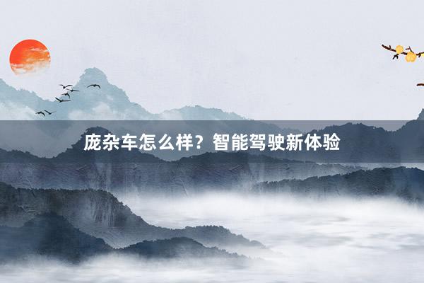 庞杂车怎么样？智能驾驶新体验